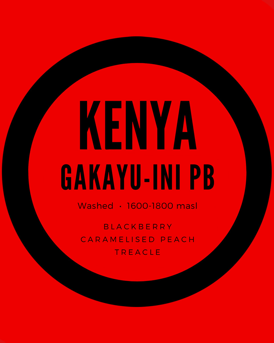 Photo of Kenya Gakayu Ini Pb 250G